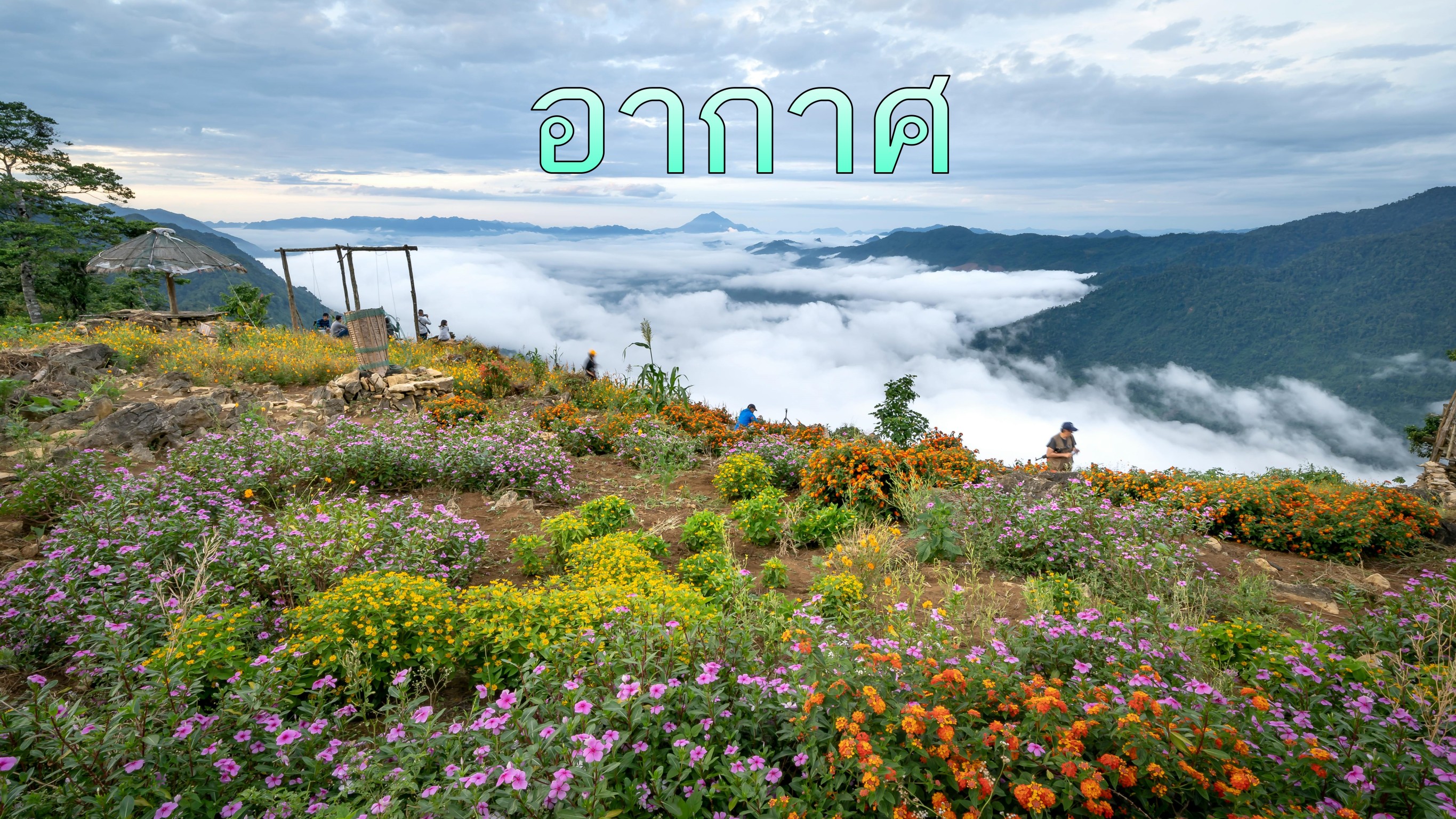 บริษัท ทีพีซี เฟรช แอร์ จำกัด