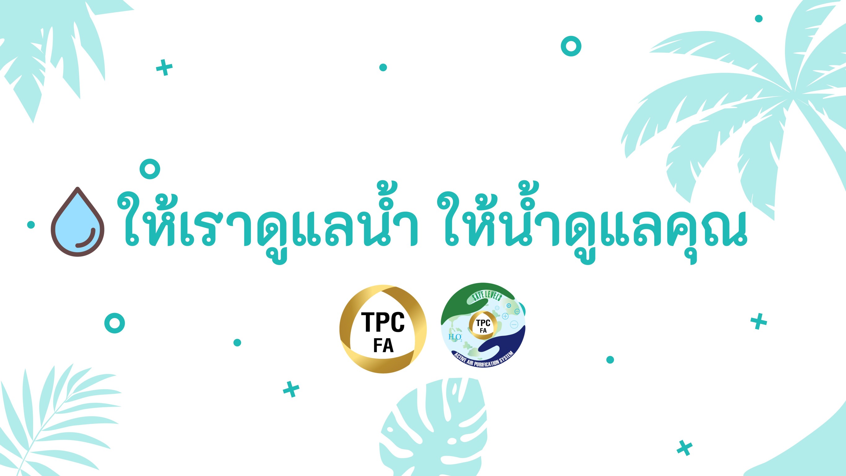 บริษัท ทีพีซี เฟรช แอร์ จำกัด